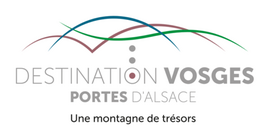 Logo Saint-Dié-des-Vosges