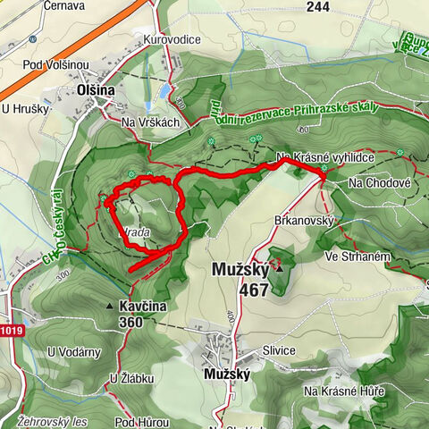 Mnichovo Hradiště, Central Bohemia/Czechia