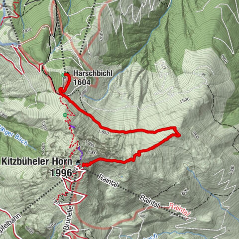 Kitzbüheler Horn, Tirol/Österreich