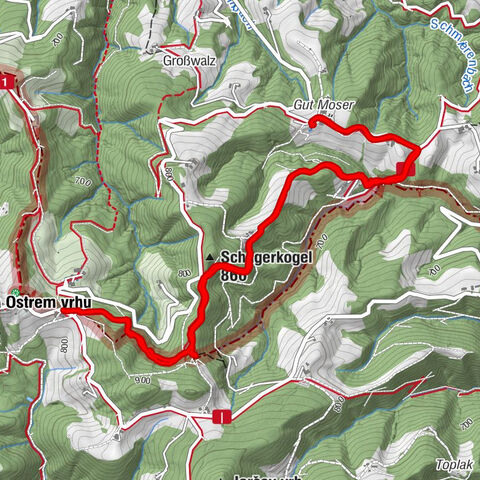 Leutschach an der Weinstraße, Steiermark/Österreich