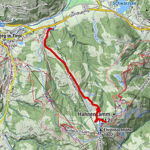 Kirchberg in Tirol, Tirol/Österreich