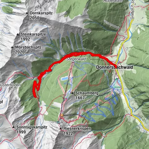 Donnersbachwald, Steiermark/Österreich