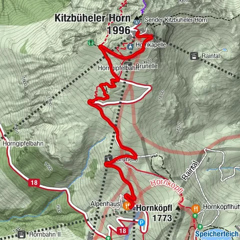 Kitzbüheler Horn, Tirol/Österreich