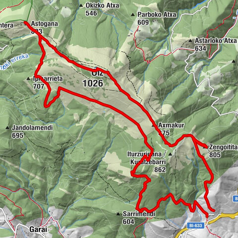 Zengotita auzoa - Oiz