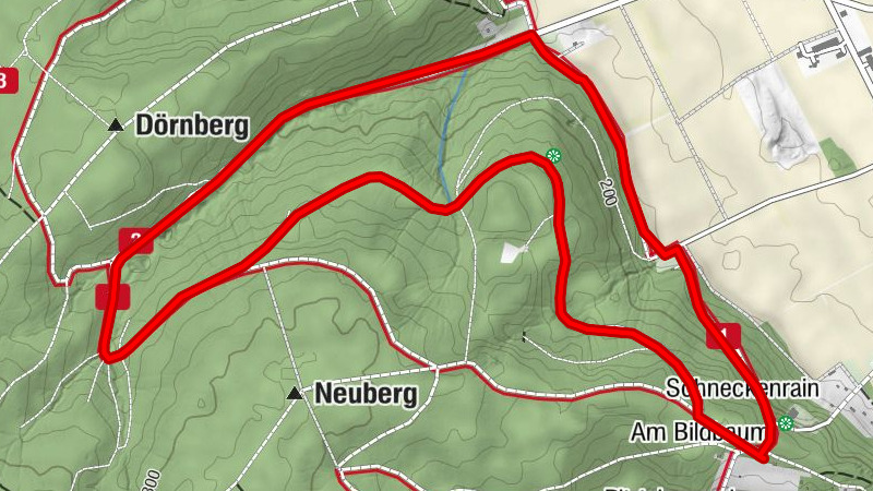 Nordic Walking in Großwallstadt (rot)