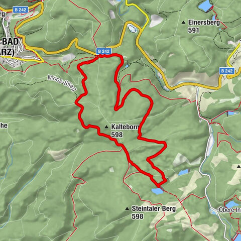 Tartanplatz, Gewitterplatz, Kaysereiche, Oberer Hahnebalzer, Kreuzbachweg, Tartanplatz, Harz (Landkreis Osterode am Harz), gemeindefreies, Deutschland