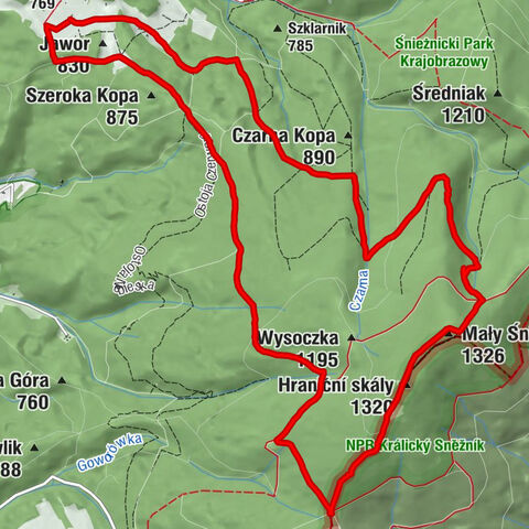 Śnieżnickie mchy