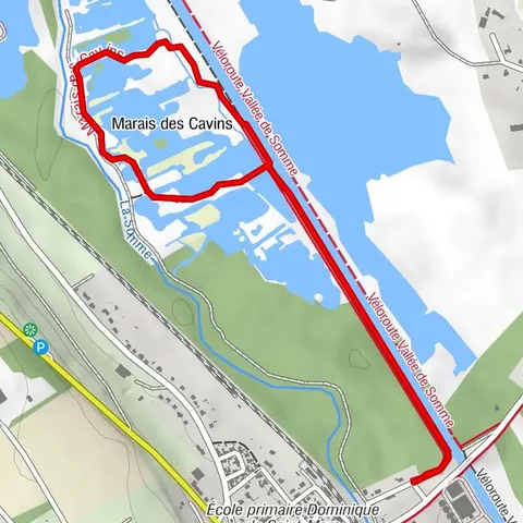 Walk at the Cavins marsh