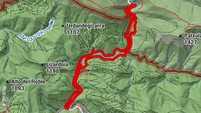Navarra - Errekaidorra. Selva de Irati