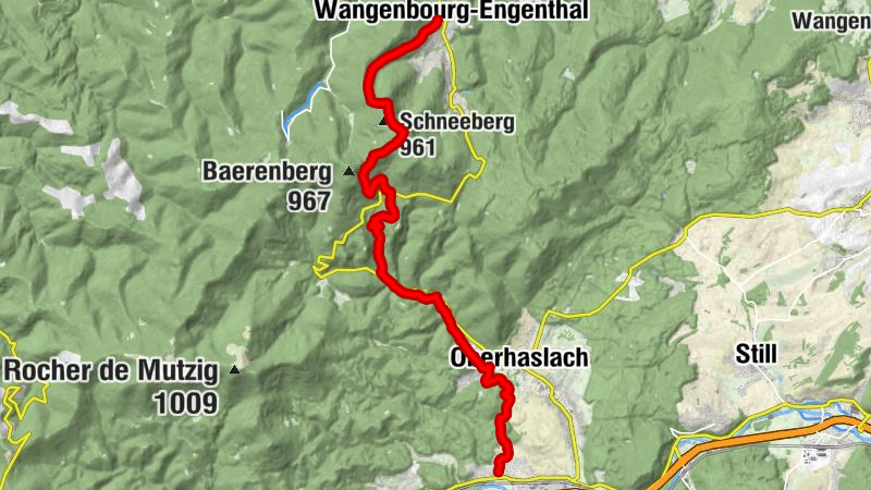 Crossing of the Vosges Massif - Stage 07 - Wangenbourg-Engenthal - Urmatt