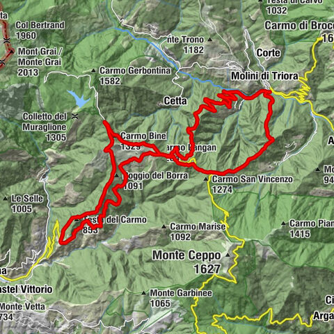Agrifoglio Molini di Triora (Molini di Triora)