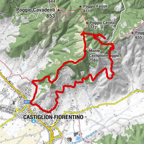 Castiglion Fiorentino Cippo Meoni