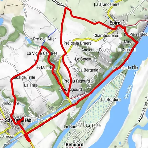 The Savennières vineyards