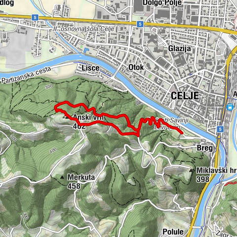 Urban forest with a tree house