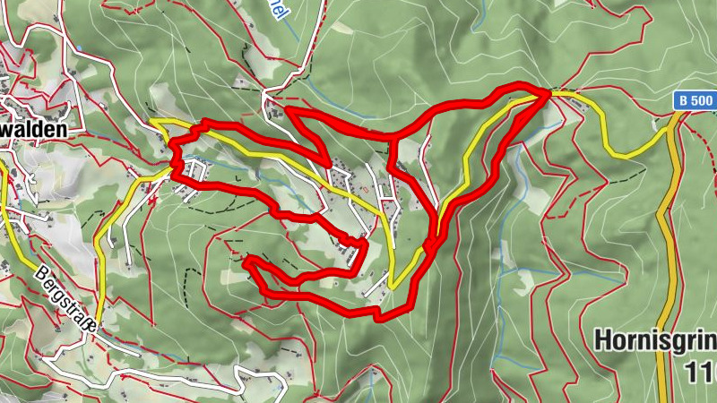 Healing climate hike 4
