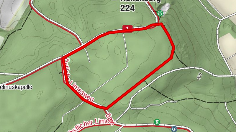 Nordic Walking in Niedernberg (orange)