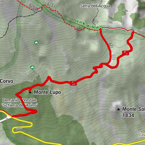 Zafferana Etnea - Monte Lupo