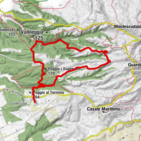 Casale Marittimo - La Vaccareccia - Poggio i Sugheroni