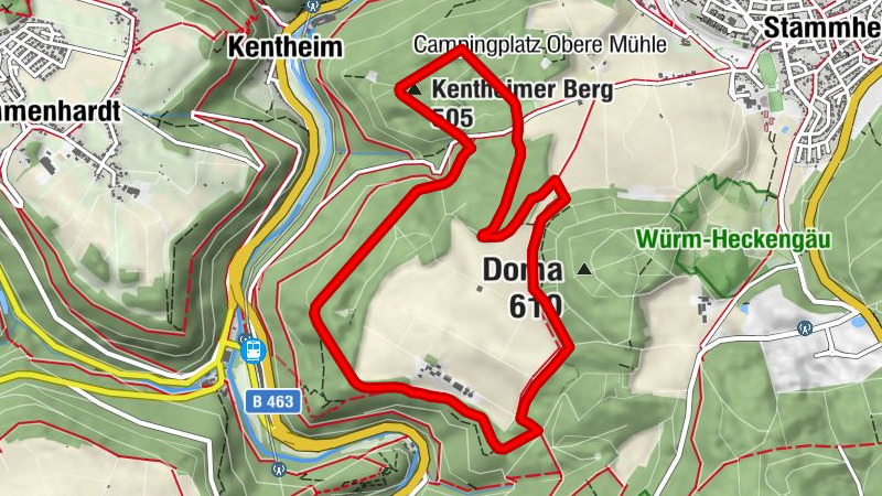 Calw - Doma-Tour