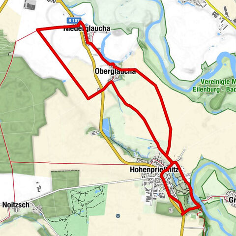 Grey Long-Eared Bat - Circular Route around Hohenprießnitz