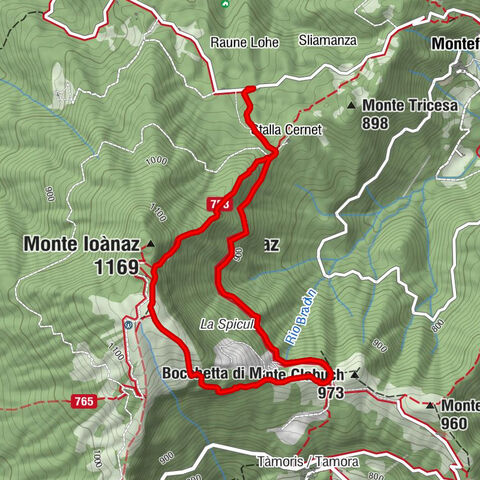 Ivanac / Monte Joanaz (1167 m) from Čarni Varh / Montefosca