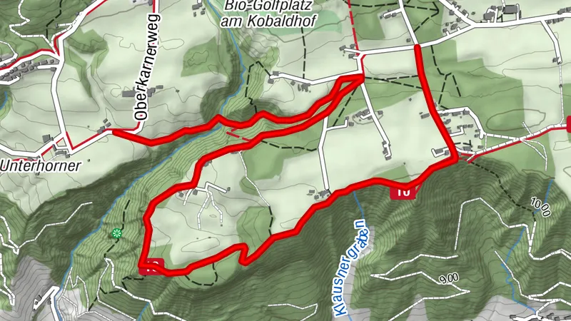 Vorberg Trail | 601