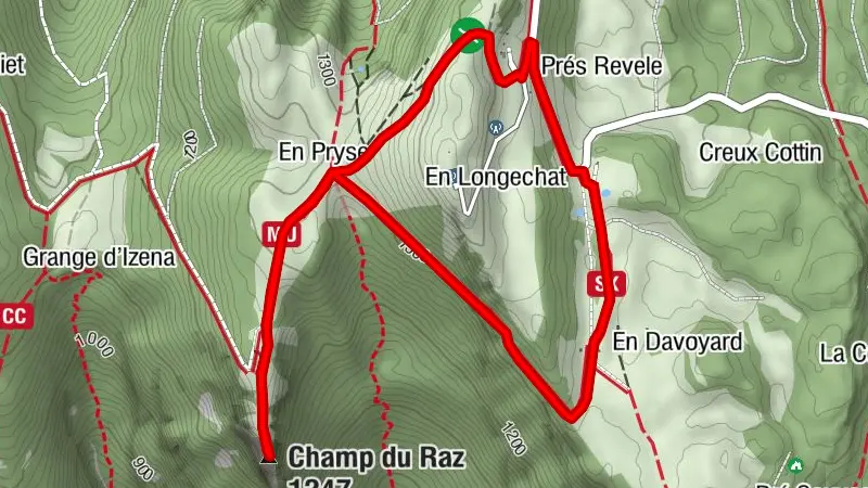 Hike: mountain pastures of the Grand Colombier