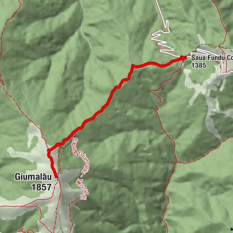 Șaua Fundu Colbului - Giumalău