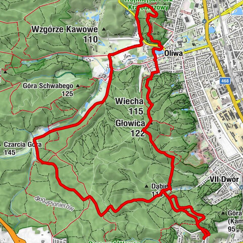 Niedźwiednik - Głowica - Wiecha - Wzgórze Pachołek