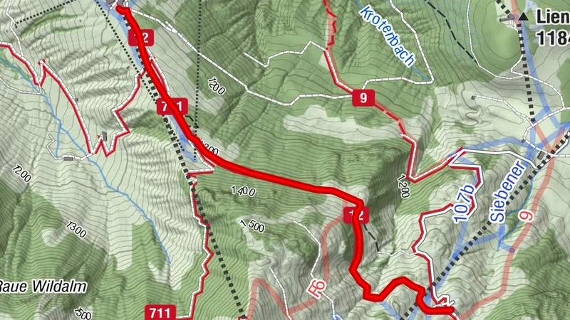 Mittelstation Streuböden - Wildalpgatterl - Jägersteig - Lärchfilzhochalm