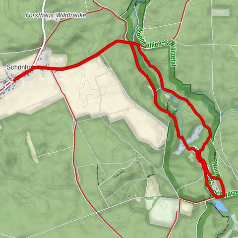 Schönholz