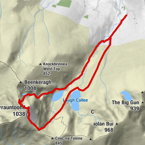 Coomcallee - The Bones - Carrauntoohil