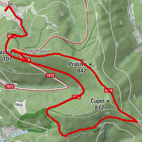 Kohutka - Malá Prašivá - Čupel - Prašivá