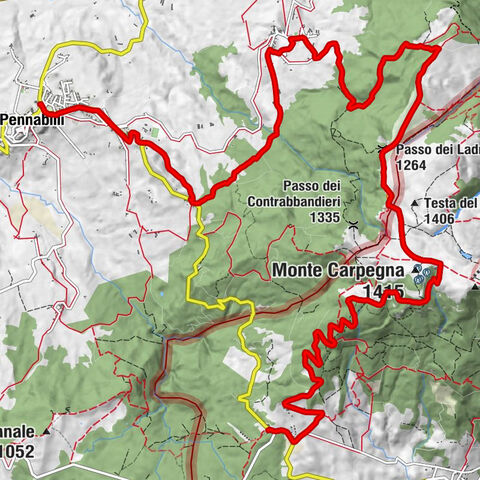 Il Mandriano - Monte Carpegna - Passo dei Ladri - Pennabilli