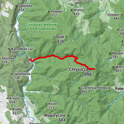 Duszatyn - Chryszczata