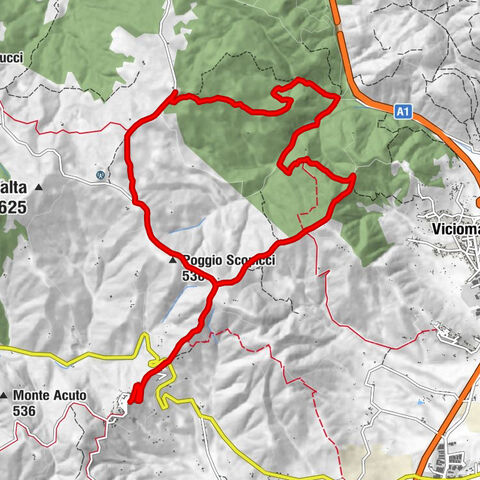 Civitella in Val di Chiana - Poggio Scopicci - San Martino in Poggio - Malfiano