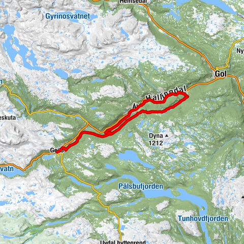 Geilo - Golden House - Skruvedalshøgde - Ål