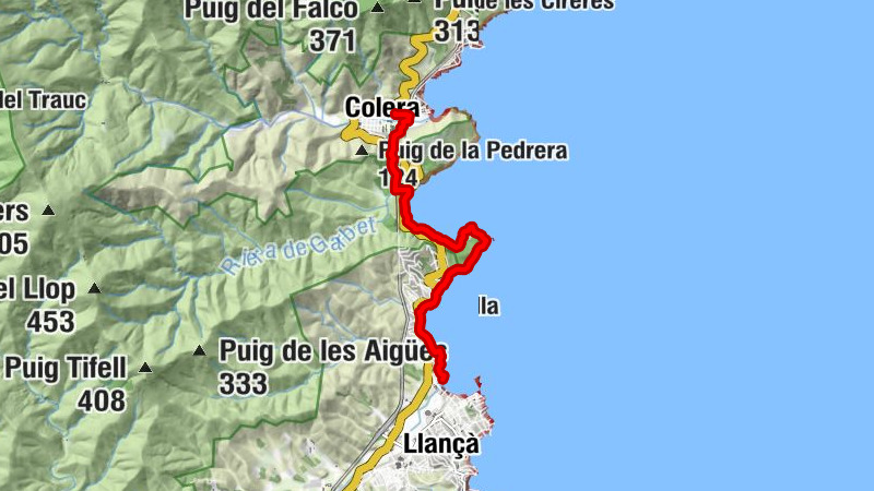 Colera - el Borró