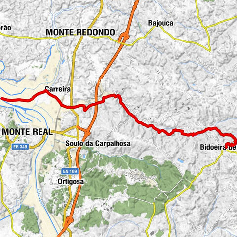 Bidoeira de Cima - Mata da Bidoeira - Carpalhosa - Monte Redondo e Carreira