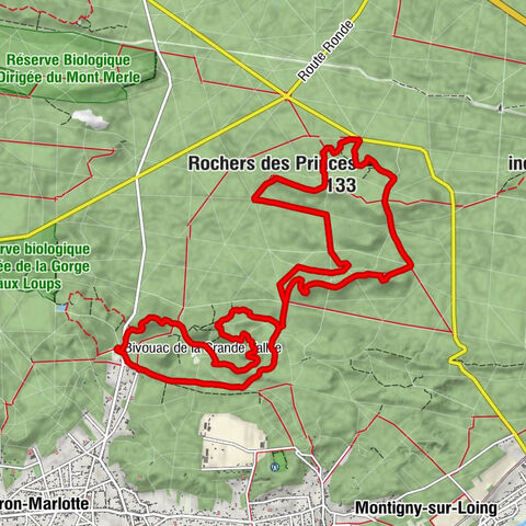 Fontainebleau - Rochers des Princes - Carrefour du Rocher des Princes - Grotte Béatrix