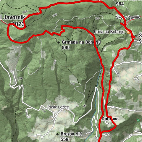 Krško - Špic hrib (Plešivec) - Koča na Bohorju - Veliki Javornik
