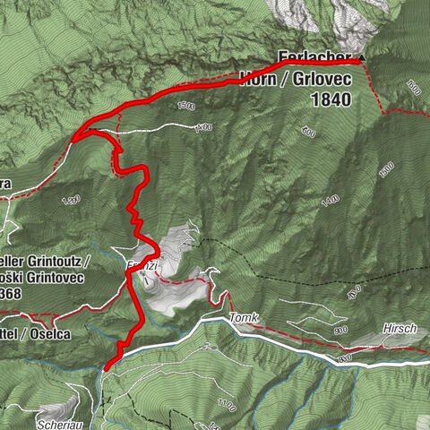 To the Ferlacher Horn from Zell-Winkel via Franzbauer