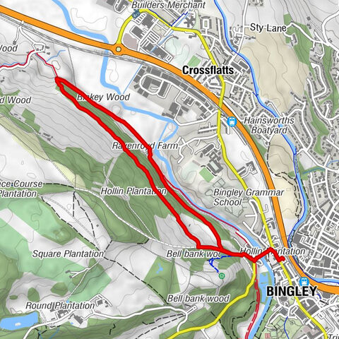 Bingley
