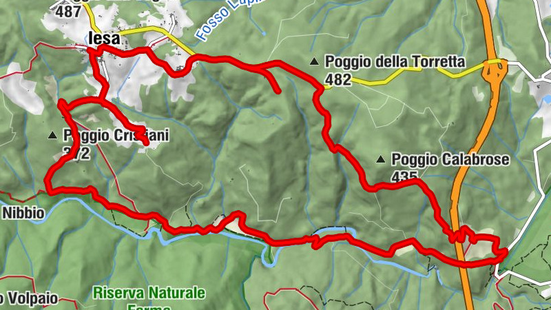 Bagni di Petriolo - Cerbaia - Iesa - Lama
