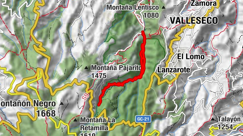Valleseco - Cuevas del Barranco del Andén - Cascada - Caidero Navarro