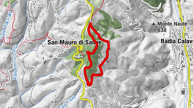 San Mauro di Saline - San Valentino - Chiesa San Valentino - San Leonardo di Limoges 1388 Dc