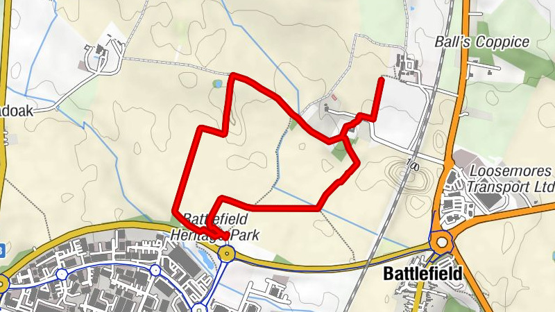 Shrewsbury - St Mary Magdalene, Battlefield