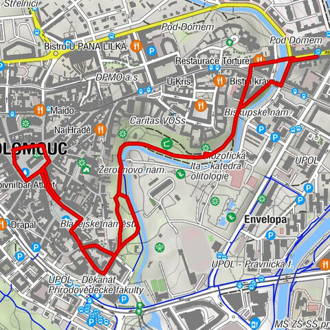 Olomouc-město - Zvěstování panny Marie - Svatá Kateřina
