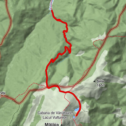 Chiojdu - Cabana de Vânătoare Lacul Vulturilor