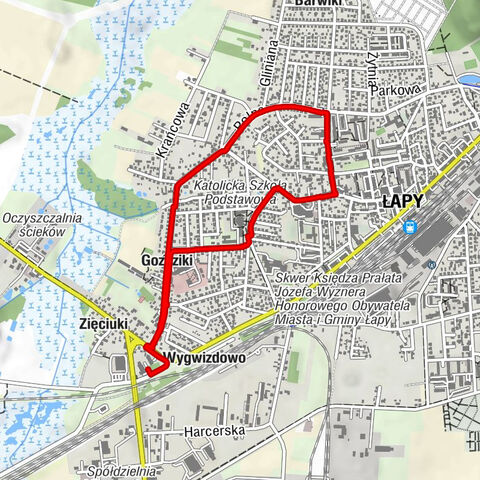 Wygwizdowo - Łapy - Goździki
